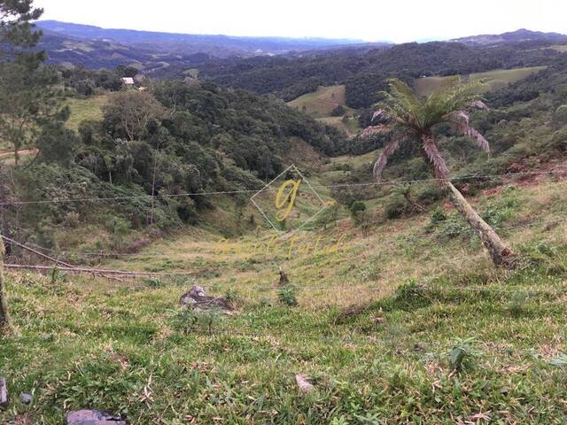 #66 - Chácara para Venda em Rancho Queimado - SC - 2