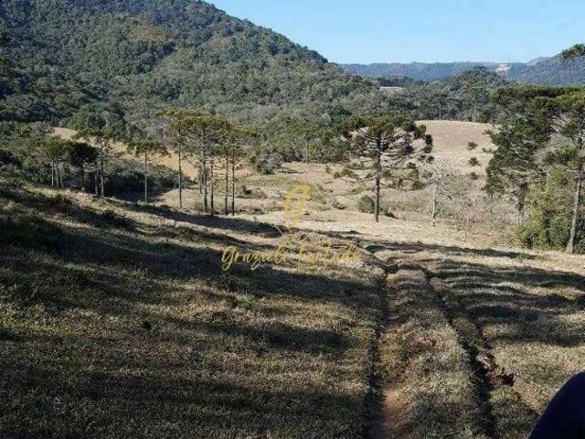 #130 - Chácara para Venda em Rancho Queimado - SC - 2