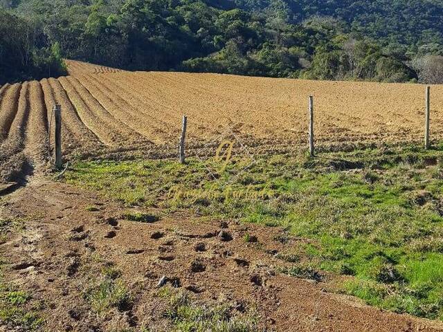 #130 - Chácara para Venda em Rancho Queimado - SC - 3