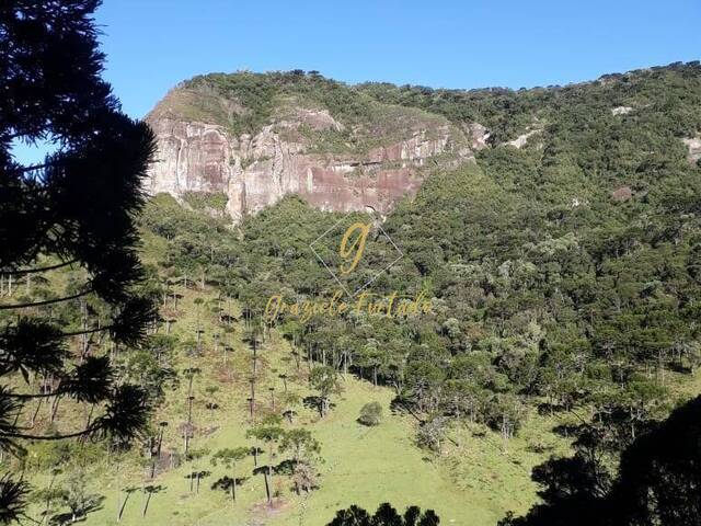 #148 - Chácara para Venda em Urubici - SC - 1