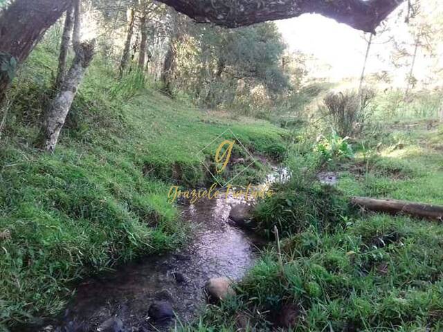 #161 - Chácara para Venda em Bom Retiro - SC