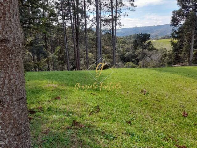 Venda em INVERNADINHA - Rancho Queimado