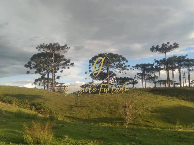 Venda em Centro - Bom Retiro