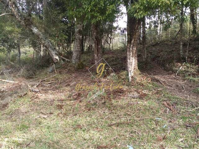 #210 - Terreno para Venda em Urubici - SC - 2