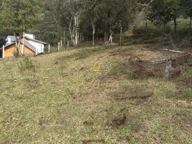 #210 - Terreno para Venda em Urubici - SC - 3