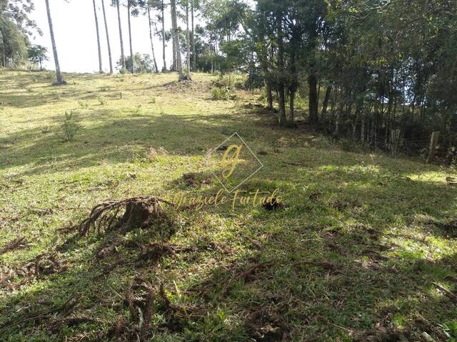 #210 - Terreno para Venda em Urubici - SC - 1