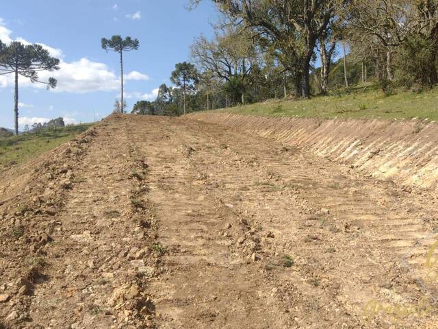 #217 - Área para Venda em Urubici - SC - 2