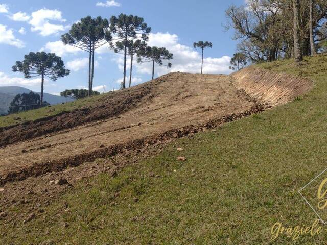 #217 - Área para Venda em Urubici - SC - 3