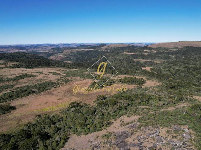 #241 - Fazenda para Venda em Bom Jardim da Serra - SC