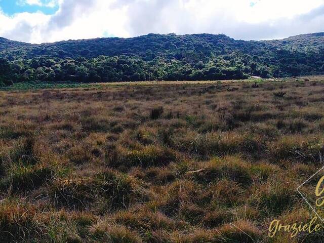 #263 - Área para Venda em Urubici - SC - 2