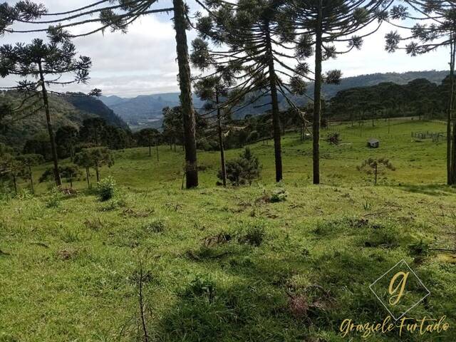 #269 - Chácara para Venda em Rio Rufino - SC