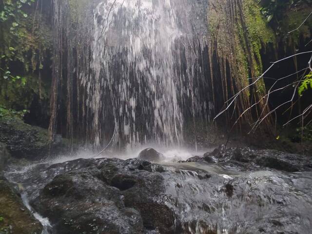 Venda em BARBAQUÁ - Bom Retiro