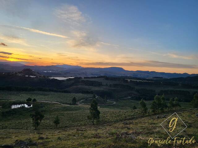 #276 - Área para Venda em São Joaquim - SC - 1