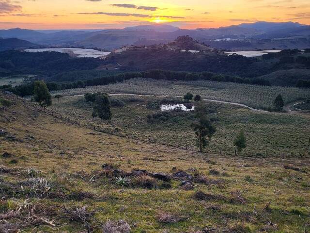 #276 - Área para Venda em São Joaquim - SC - 3