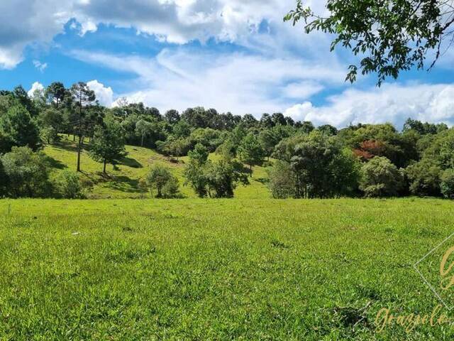 #278 - Chácara para Venda em Rio Rufino - SC - 3