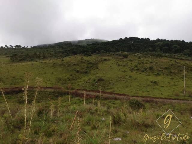 #287 - Área para Venda em Urubici - SC - 3