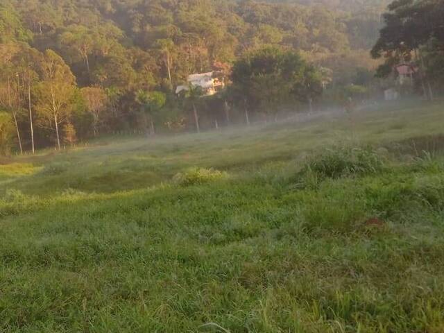 Venda em Taquaras - Santo Amaro da Imperatriz